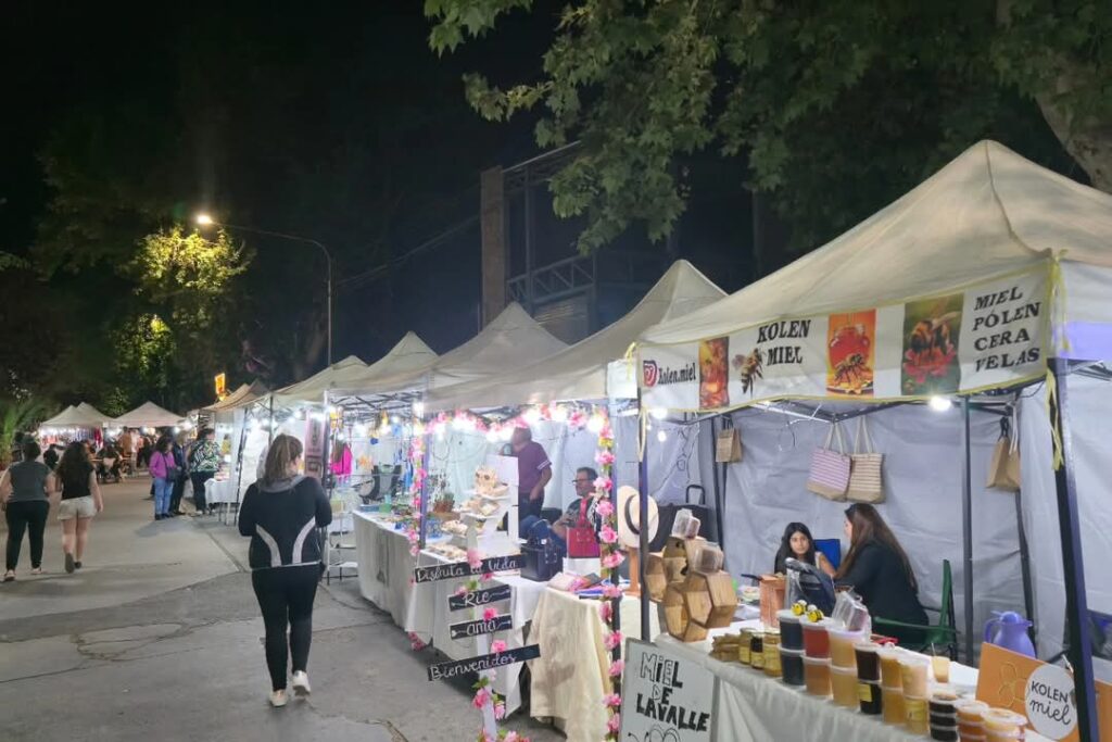 WhatsApp Image 2025-11-28 at 11.28.03